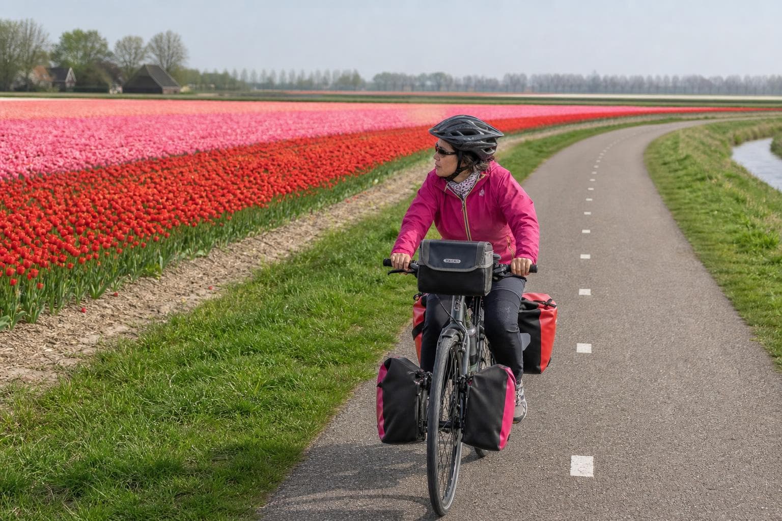 Amsterdam und die Tulpentour
