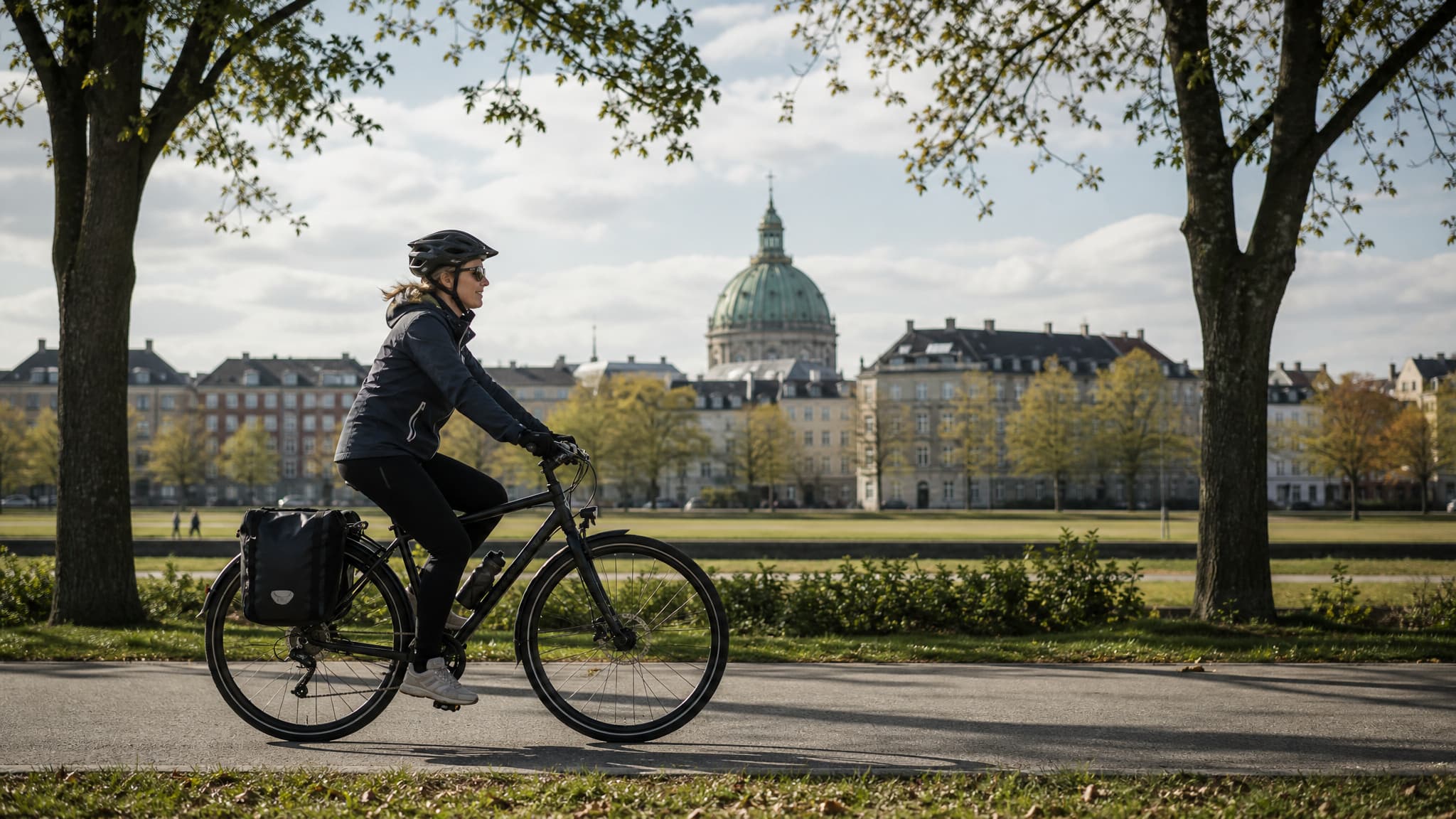 Sterntour ab Kopenhagen: Tivoli, Roskilde und Öresund-Küste
