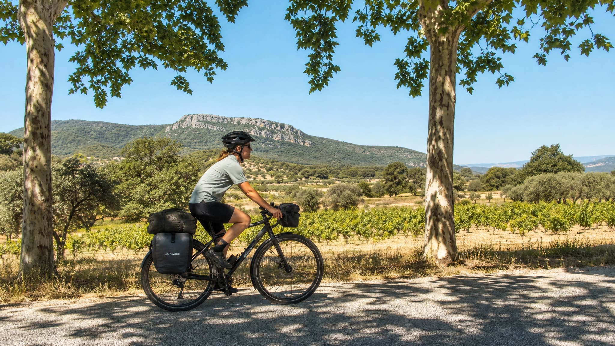 Von Orange bis zur Camargue - Provence per Rad entdecken