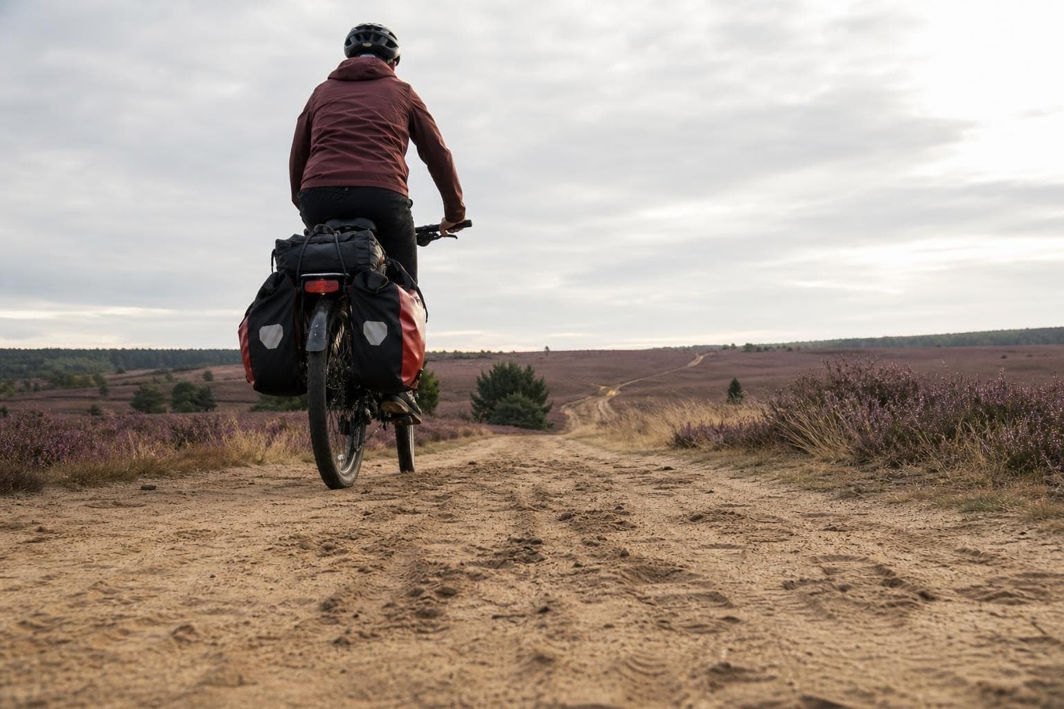 Rundtour Lüneburger Heide – Heideflächen und Hansestadt Lüneburg