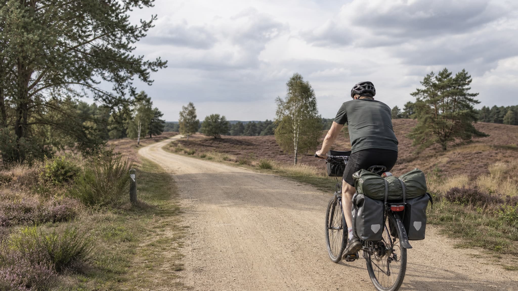 Rundtour Lüneburger Heide — Geschichte und Heidelandschaft