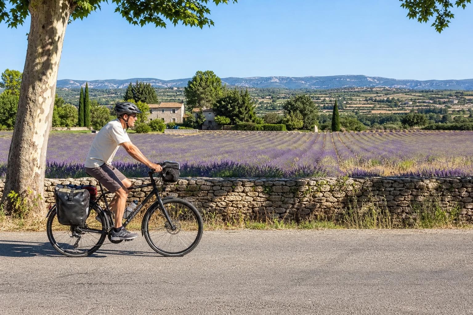 Rundtour ab Avignon: Lavendel, Flamingos und römische Schätze