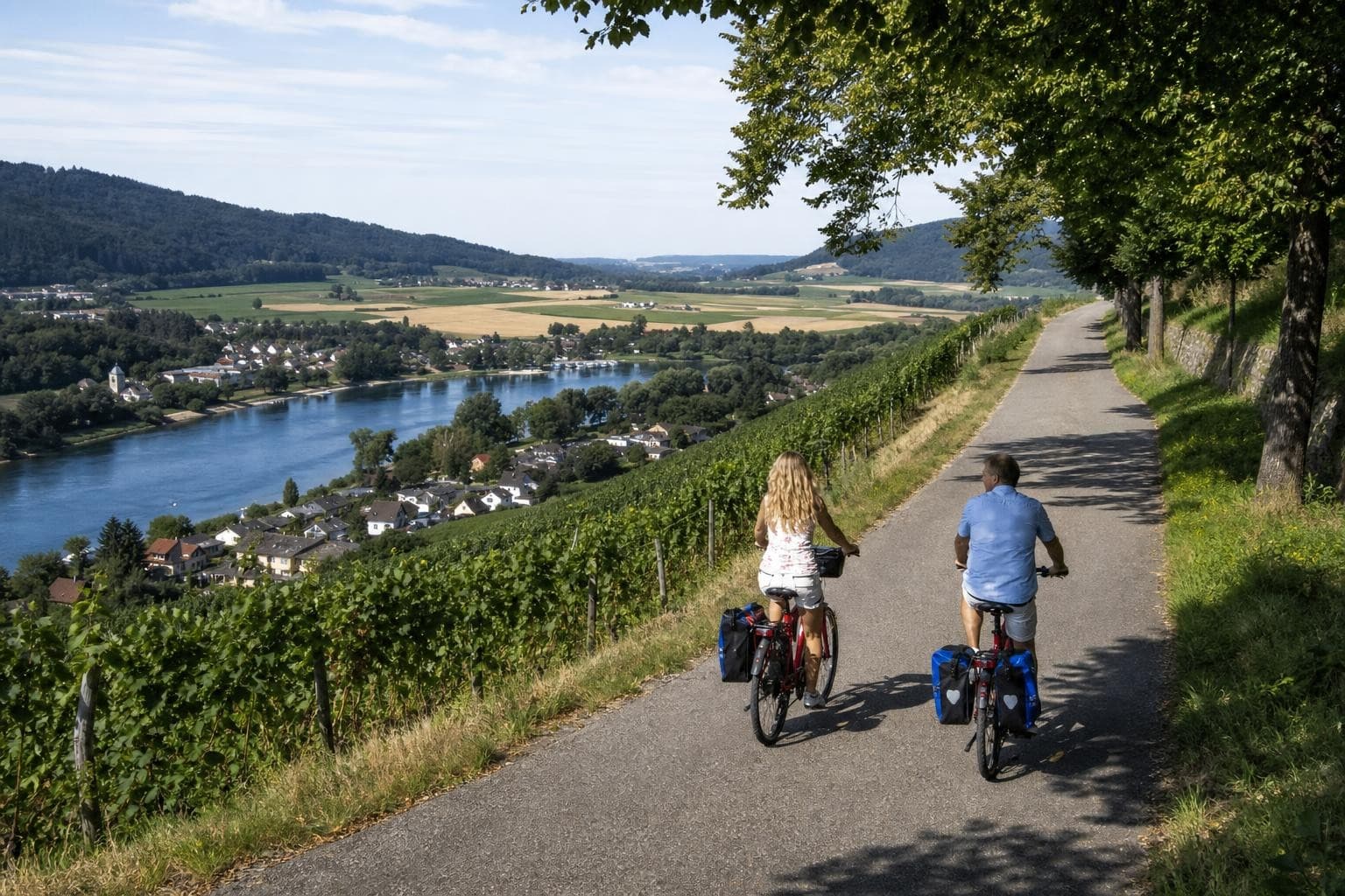 E-Bike-Rundtour: Konstanz zum Rheinfall, durch Liechtenstein ins Elsass und nach Heidelberg