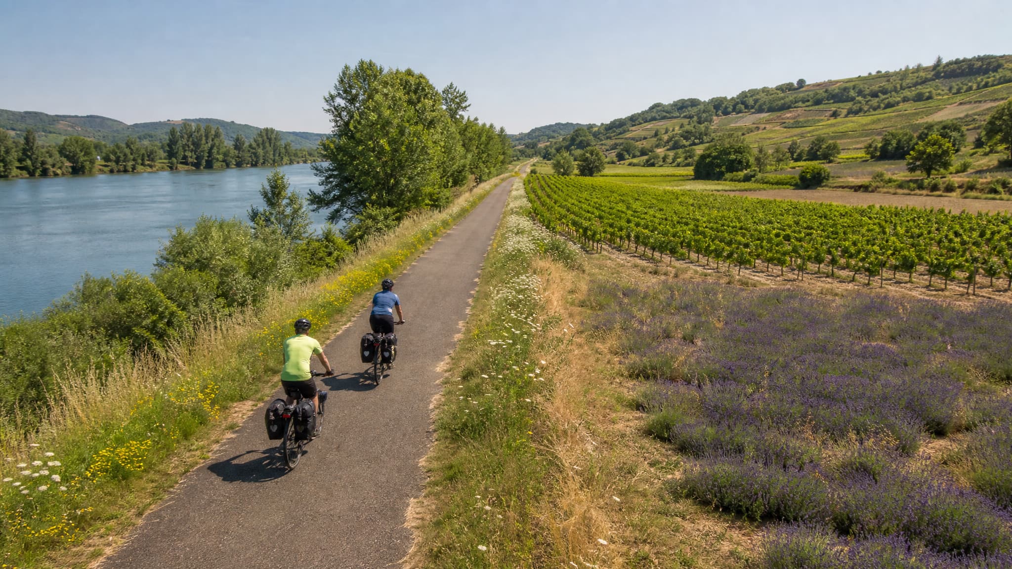 Radreise Lyon nach Arles – Wein, Lavendel und Van Goghs Provence