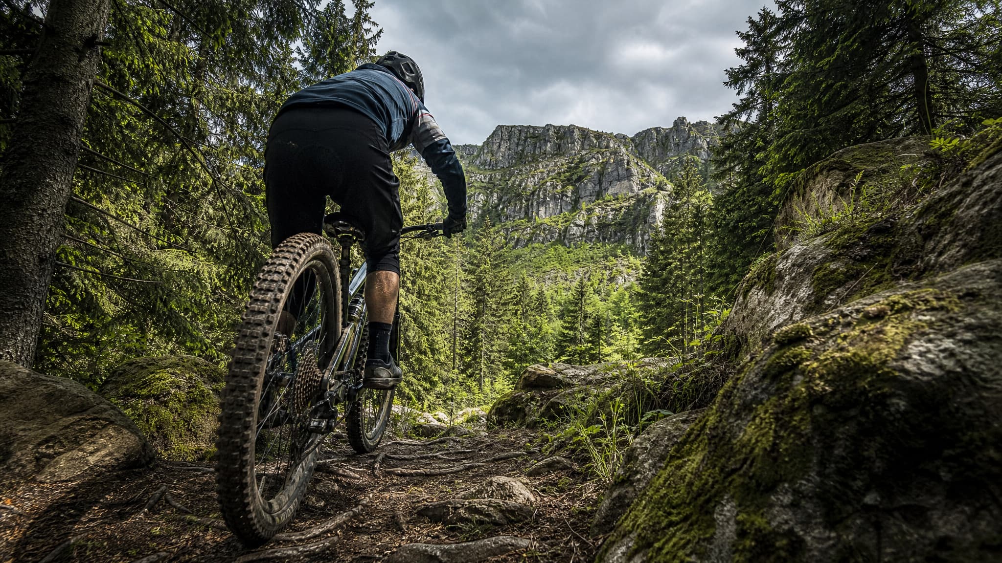 MTB-Fahrtechnik intensiv: Flowtrails & Coaching rund um den Brocken