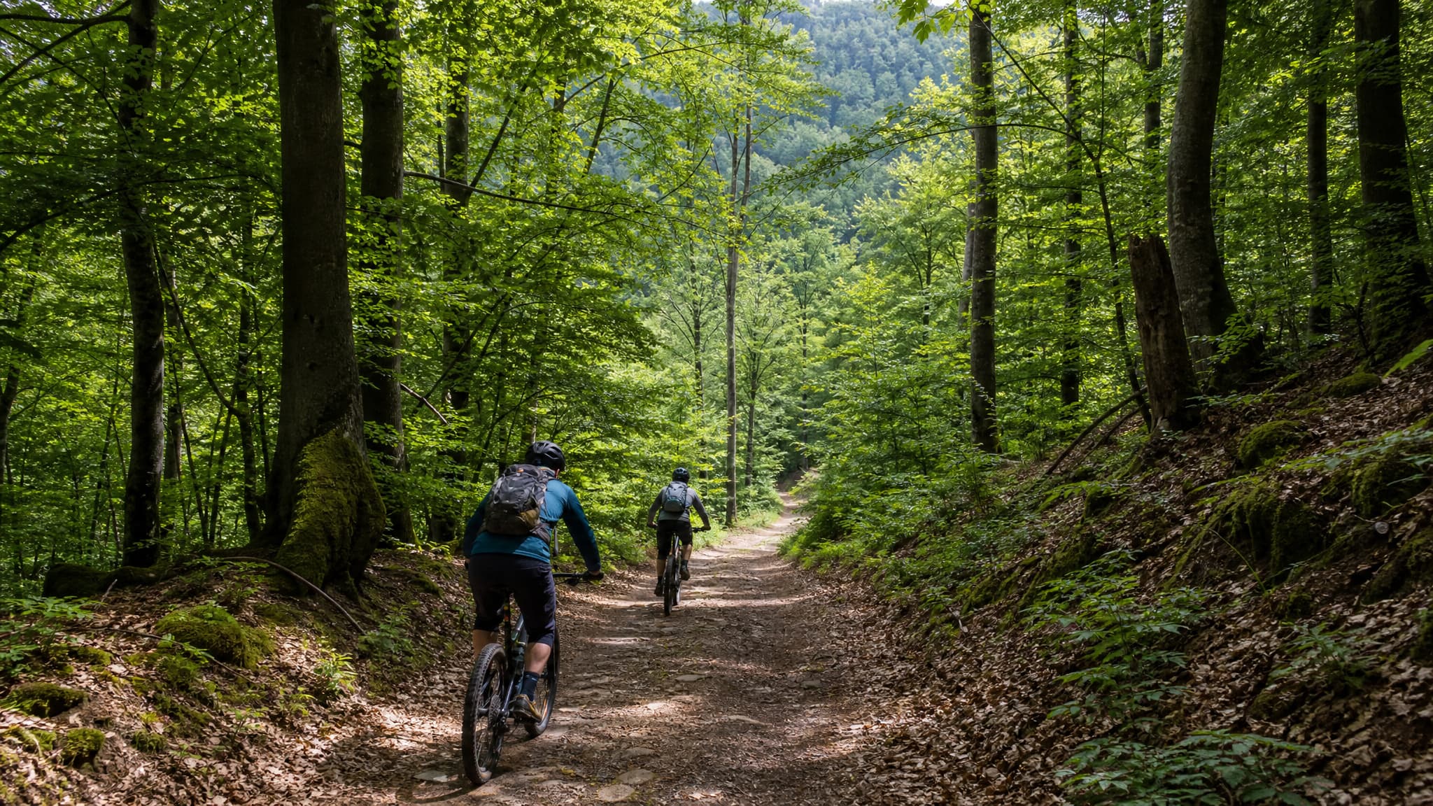 MTB-Sterntour Spessart — 5 Tage Trails und Waldtraining