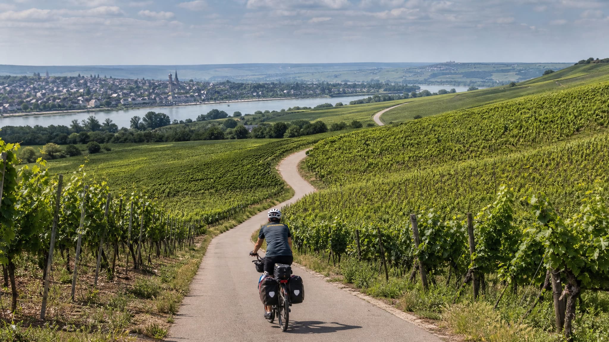 Rheinhessen-Radreise: Von Speyer nach Mainz durch Wein und Geschichte